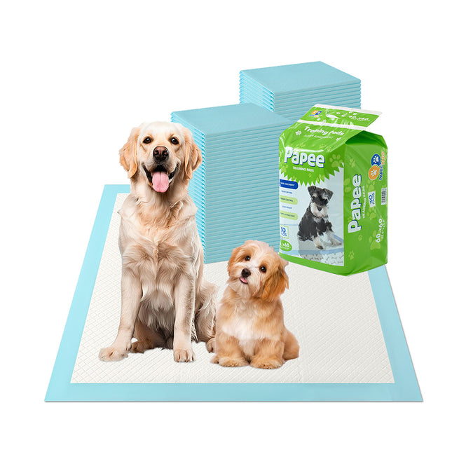 Toallas Entrenamiento Para Perros