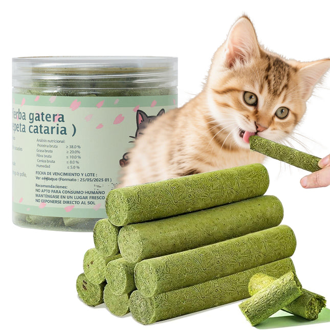 Palo de hierba para gatos