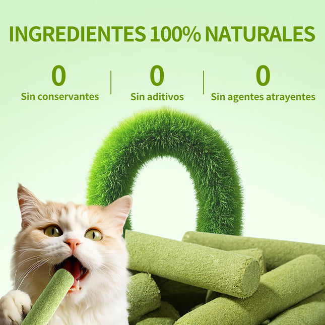 Palo de hierba para gatos