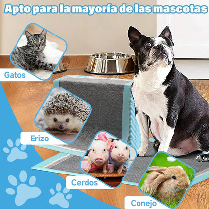 Toalla absorbente con carbón activado