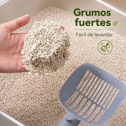 Demostración de la mejor arena aglutinante para gato, mostrando un grumo fuerte y fácil de levantar con pala de limpieza