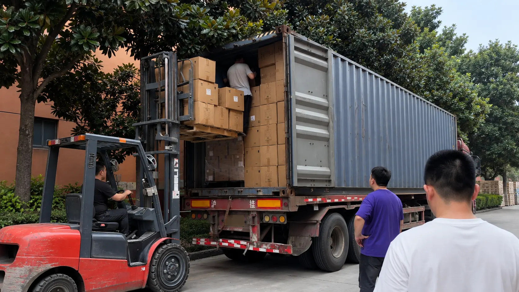 Packing & Shipment