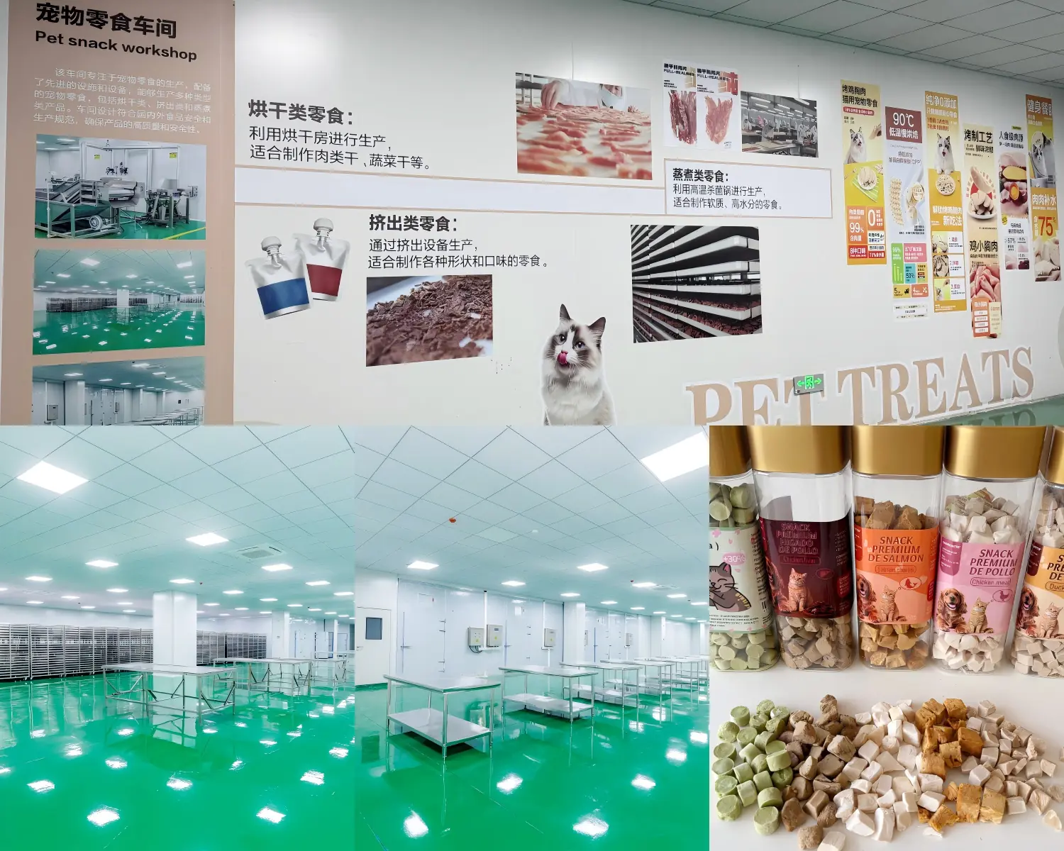 Pet treat processing and packaging environment