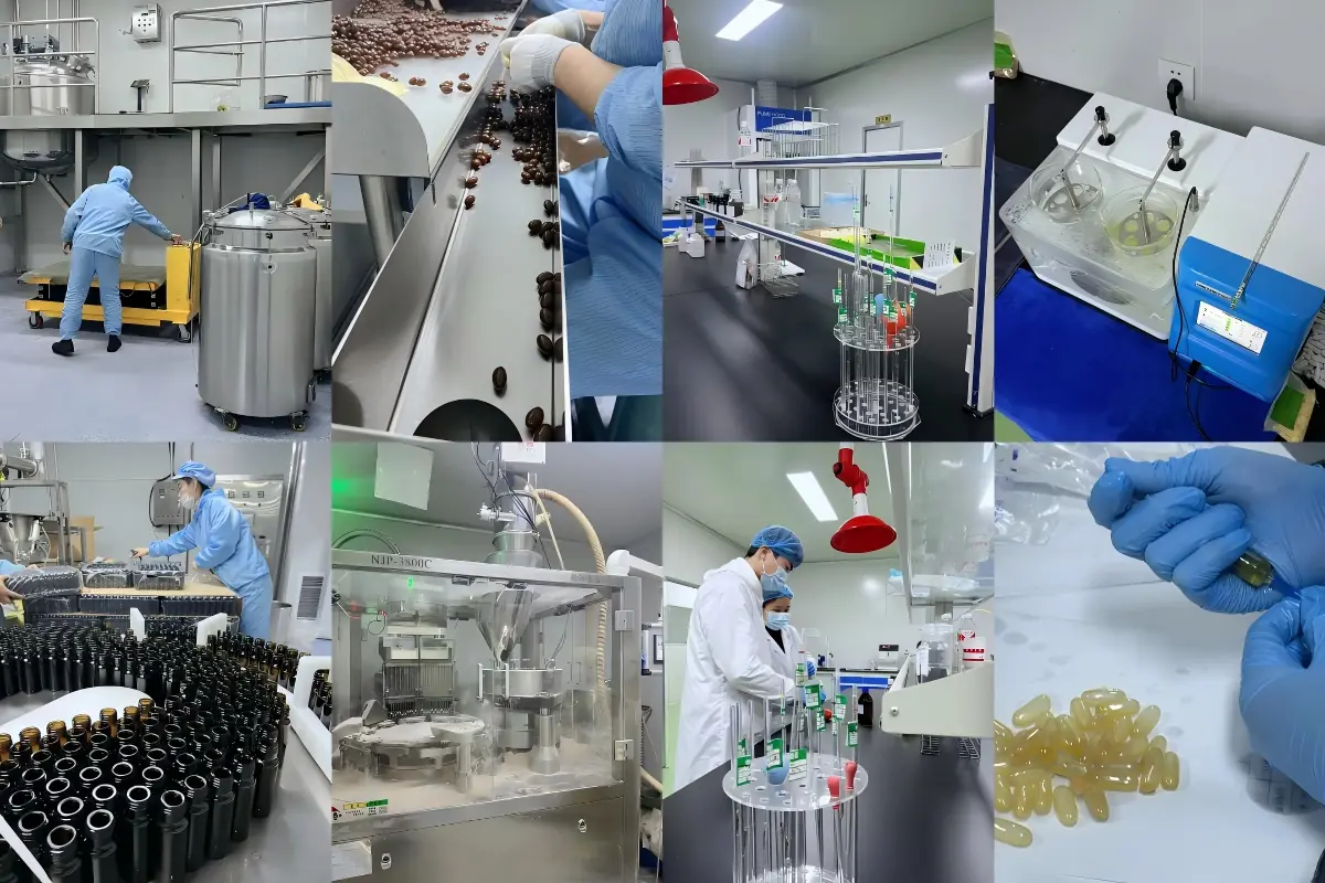 Pet supplement production and filling environment